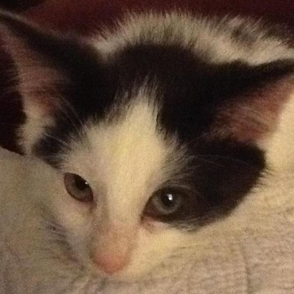 Meet your Posher, Vicki